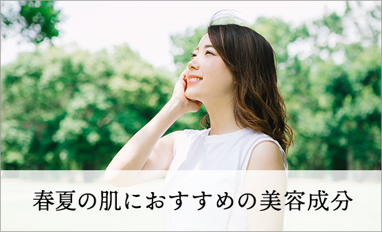 美容情報